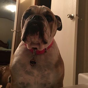 Meet your Posher, Jennifer